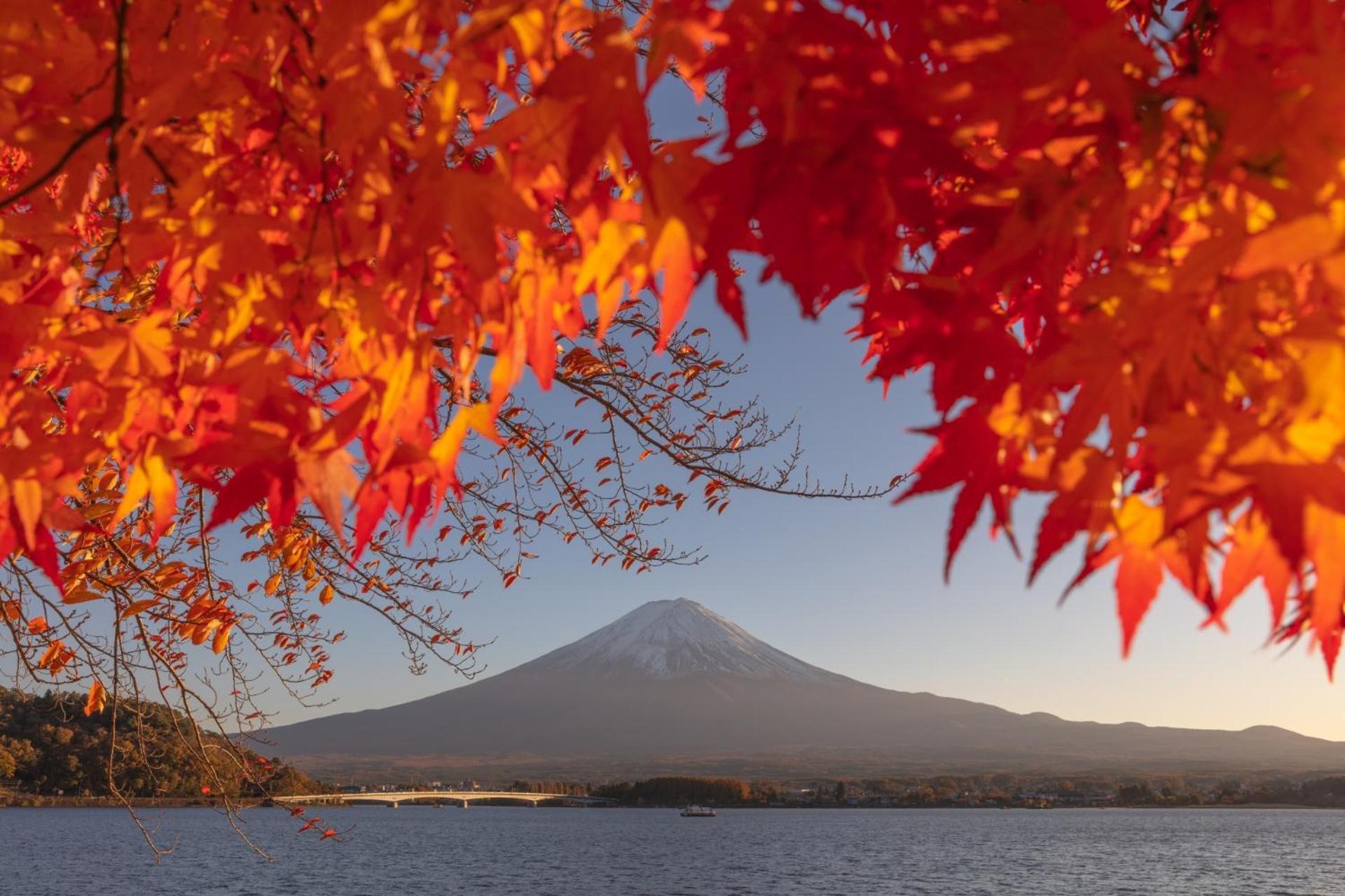 Moonlightvilla 河口湖大橋 Fujikawaguchiko Luaran gambar